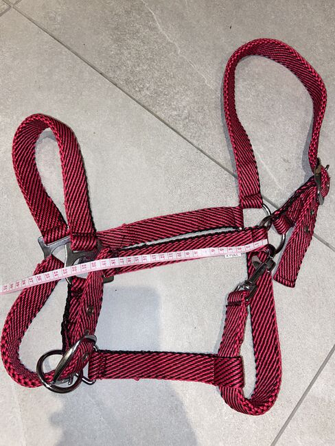 Halfter Full Warmblut oder Kaltblut, Kristina, Halters, Gilching 