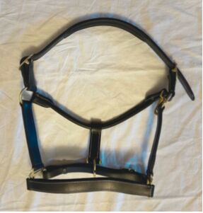 Halfter, Volleder (echt), neu, A. Weigel, Halters, Bad Homburg