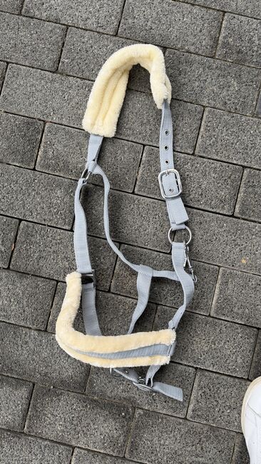 Halfter grau WB, Victoria , Halters, München