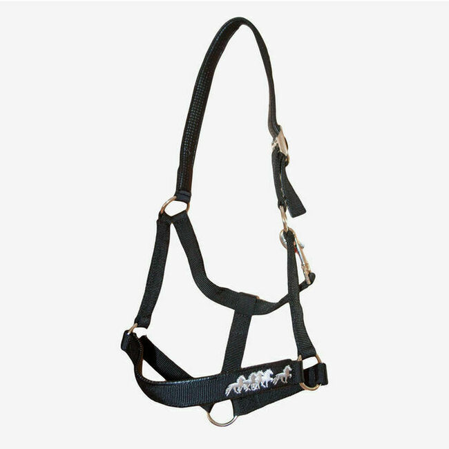 Halfter Pferdehalfter Isländer Reiten Karlslund, Karlslund, volvomicha, Halters, Weilerswist, Image 4