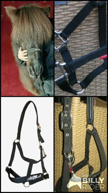 Halfter Pferdehalfter Isländer Reiten Karlslund, Karlslund, volvomicha, Halters, Weilerswist, Image 6