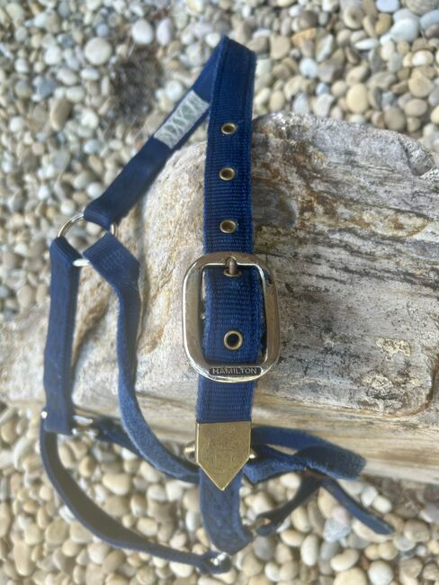 Halter- Hamilton 1” Navy Blue, Hamilton , Stephanie, Halfter, Edmonton , Abbildung 3
