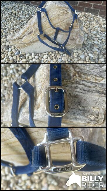 Halter- Hamilton 1” Navy Blue, Hamilton , Stephanie, Halfter, Edmonton , Abbildung 4