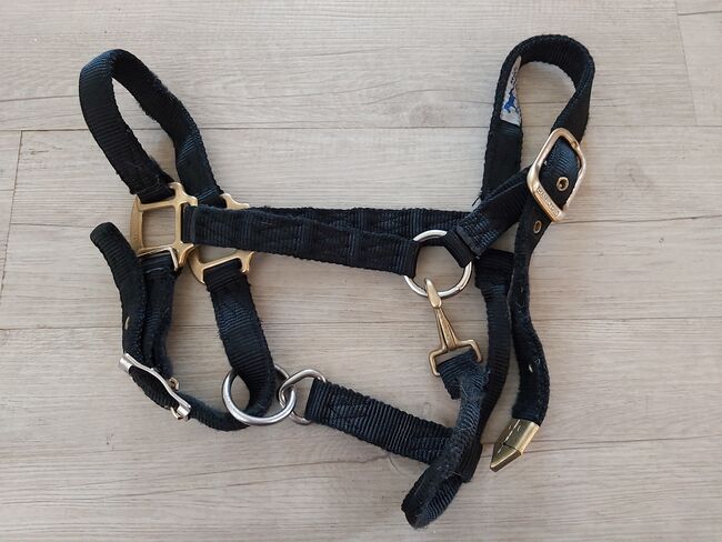 Halfter Hamilton, Hamilton, Barbara Hoffmann, Halters, Meuspath