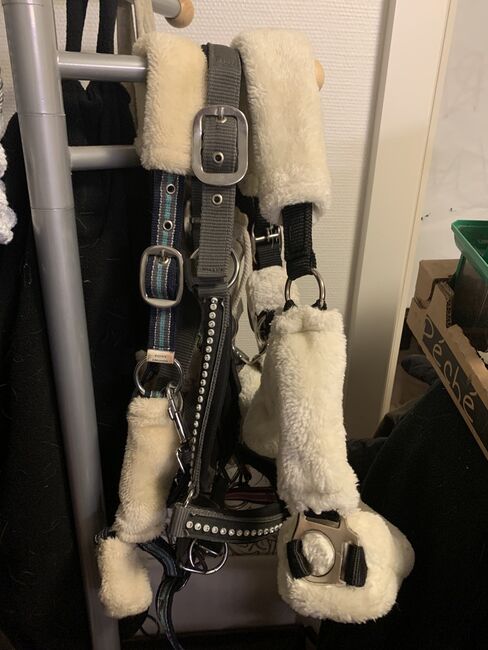 Halfter in der Größe Pony, Ilayda Krier, Halters, Remich