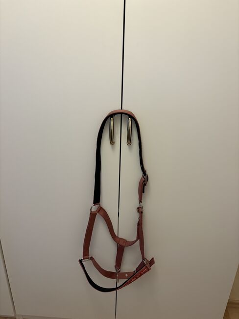 Halfter In Größe wbex, HvPolo, Angeliena Hennigs, Halters, Berumbur