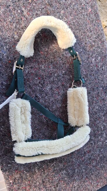 Halfter in COB, Melissa, Halters, Thedinghausen 