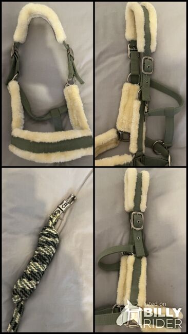 Halfter mit Strick von Showmaster, Showmaster , Hedy, Halters, Ulm, Image 5