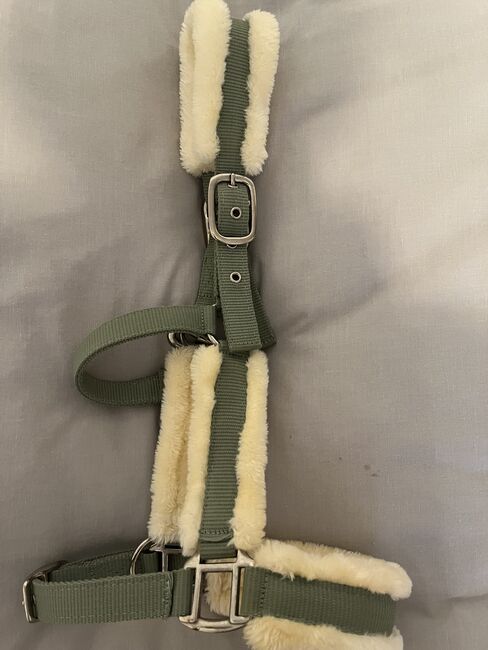 Halfter mit Strick von Showmaster, Showmaster , Hedy, Halters, Ulm, Image 4