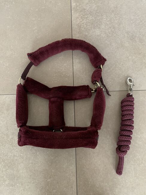 Halfter mit Strick Set, Showmaster (Krämer)  Fellhalfter mit passendem Strick , Christopher Kaufmann, Halters, Johannesberg