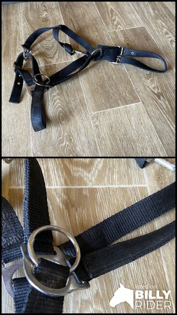 Halfter mit Ringen, Stephanie , Bitless Bridles, Graz , Image 3