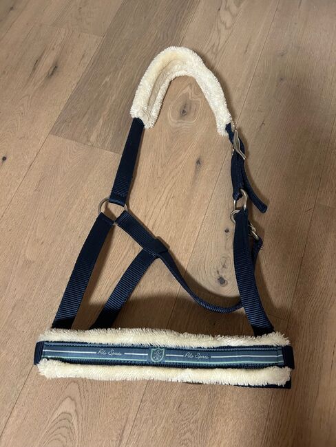 Halfter Polo Sports WB, Stephanie Mathis, Halters, Oerlingen