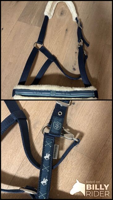 Halfter Polo Sports WB, Stephanie Mathis, Halters, Oerlingen, Image 3