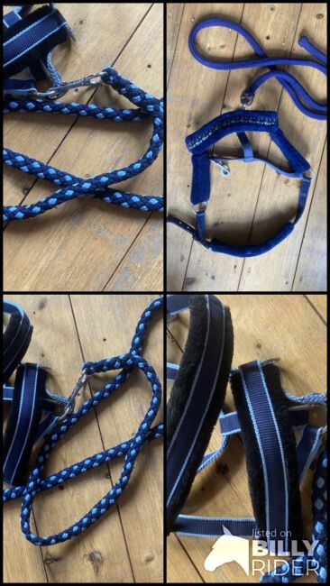 Halfter Pony blau, Daniela Wichert, Halters, Leer, Image 6