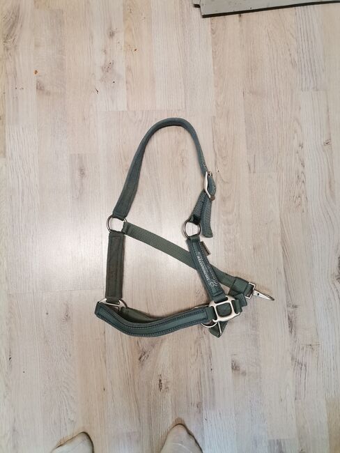 Halfter Pony Blau, Florentine , Halters, Michelau 