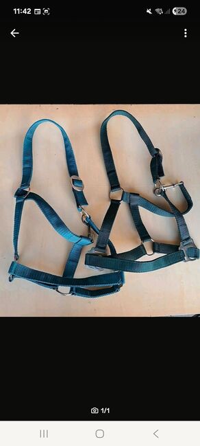 Halfter Pony, Sarah, Halters, Seester