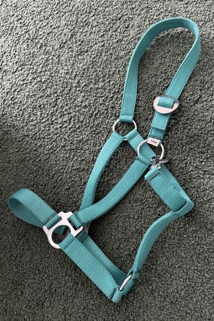 Halfter Pony, Lilli, Halters, Worms 