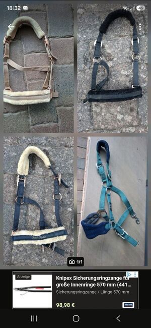 Halfter Pony, Larissa, Halters, Hofgeismar