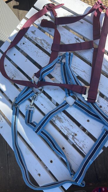 Halfter und Stricke, Cindy, For Horses, Niesky see , Image 3