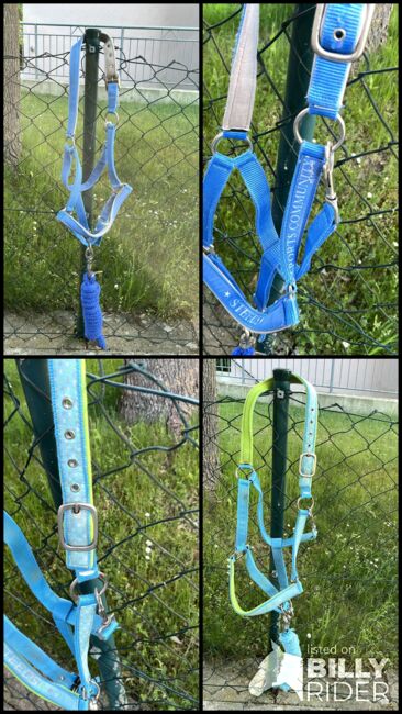 Halfter Set blau, Steeds , Ramona, Halters, Gunzenhausen, Image 8