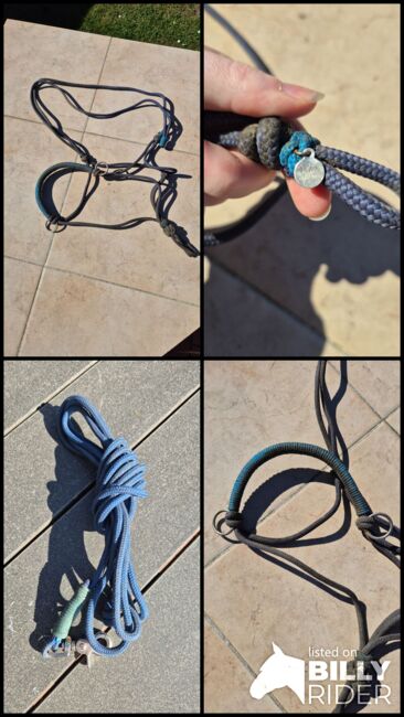 Halfterset Filogran, Filogran, Denise, Halters, Laatzen, Image 5