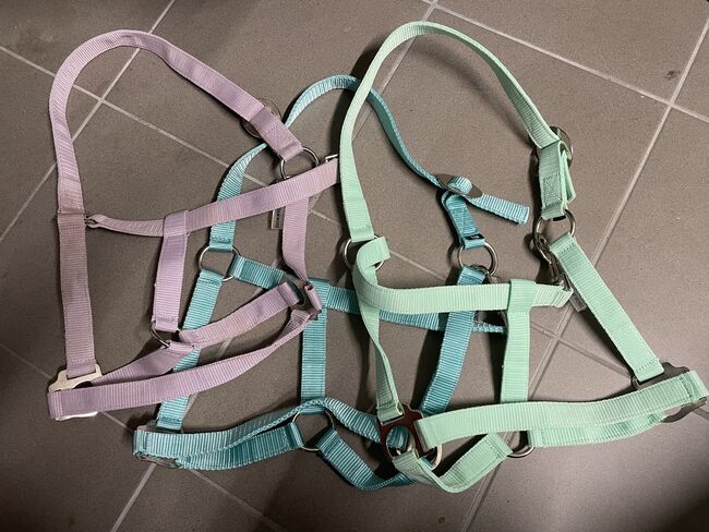 Halfter Showmaster, Showmaster Halfter Supergünstig, AF, Halters