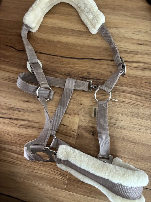 Halfter | Showmaster, Showmaster, Lara Pippirs, Halters, Durlangen