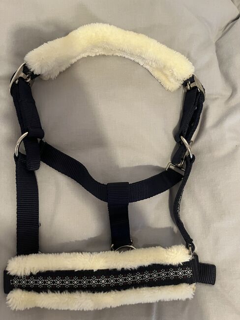 Halfter Showmaster, Showmaster , Hedy, Halters, Ulm