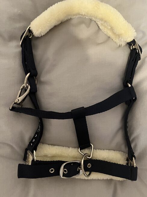 Halfter Showmaster, Showmaster , Hedy, Halters, Ulm, Image 4