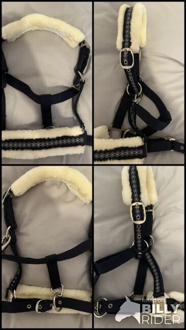 Halfter Showmaster, Showmaster , Hedy, Halters, Ulm, Image 5