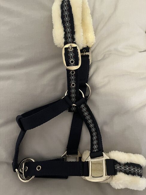 Halfter Showmaster, Showmaster , Hedy, Halters, Ulm, Image 3