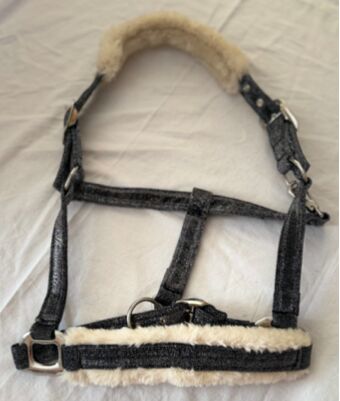 Halfter, Showmaster, Neu, Showmaster, A. Weigel, Halters, Bad Homburg