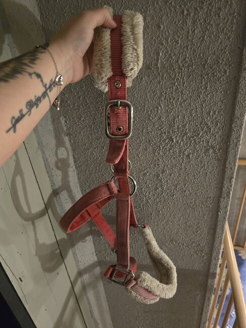 Halfter Gr. COB, Ratsch, Halters, Wilkau-Haßlau