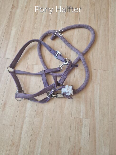 Halfter Größe COB und Pony, Christina Karger , Halters, Balingen 