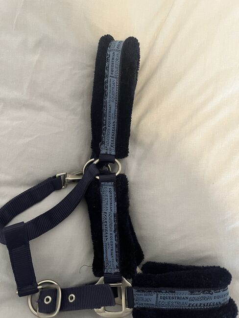 Halfter Größe Pony, Hedy, Halters, Ulm, Image 3