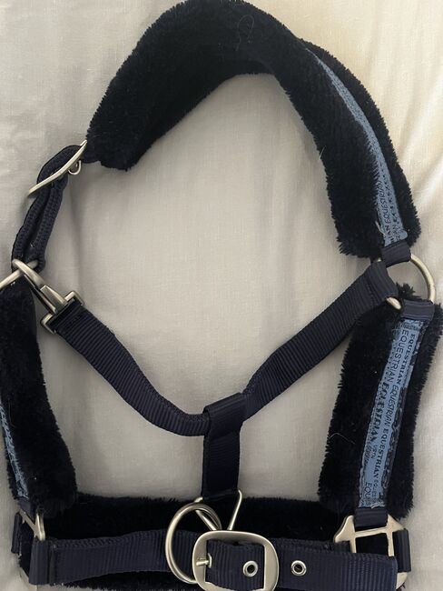 Halfter Größe Pony, Hedy, Halters, Ulm, Image 4