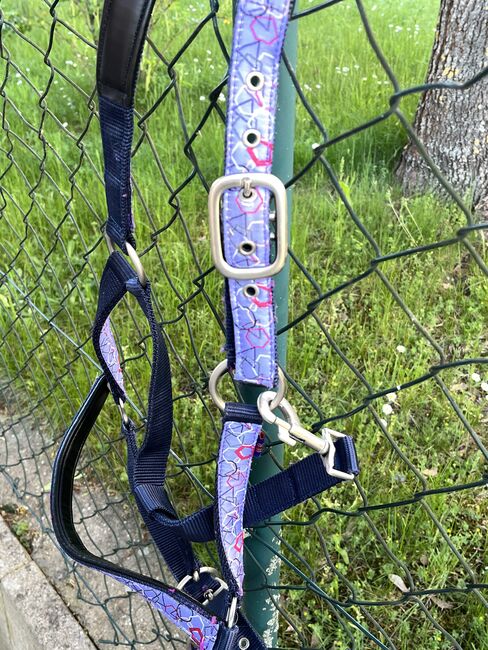 Halfter(+/Strick) lila, Ramona, Halters, Gunzenhausen, Image 2