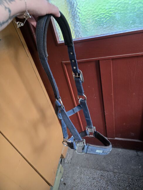 Halfter Gr. Vollblut COB, Ratsch, Halters, Wilkau-Haßlau
