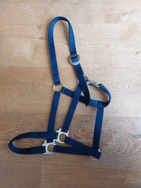 Halfter Gr. XFull, Victoria, Halters, Puch bei Hallein