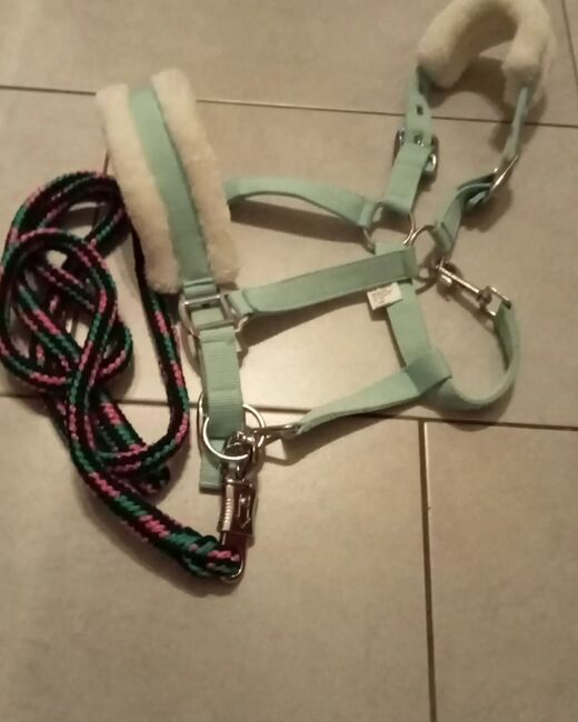 Halfter zu verkaufen, Emily , Halters, Barßel, Image 2