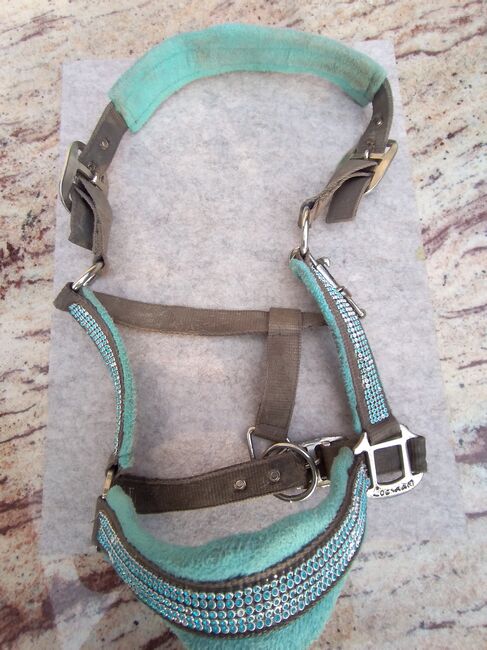 Halfter türkise, Loesdau, Celina, Halters, Peißenberg, Image 2