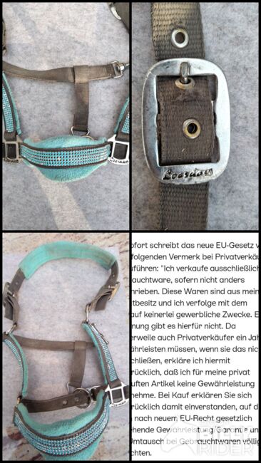 Halfter türkise, Loesdau, Celina, Halters, Peißenberg, Image 6