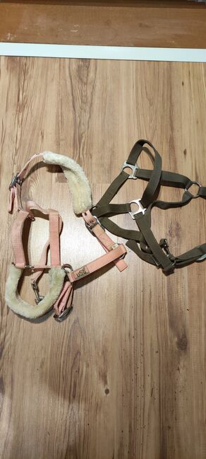 ***Halfter***, Usg / Showmaster , Alexandra , Halters, Linsengericht