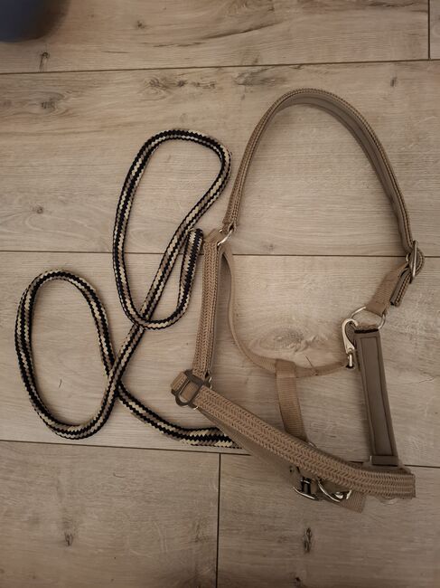 Halfter WB beige Glitzer mit Strick, Stonedeek, Gina, Halters, Lamstedt