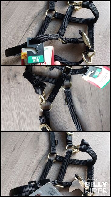 Halfter Weaver Fohlen Mini Shetty schwarz neu, Weaver, JF, Halters, Pressath, Image 4