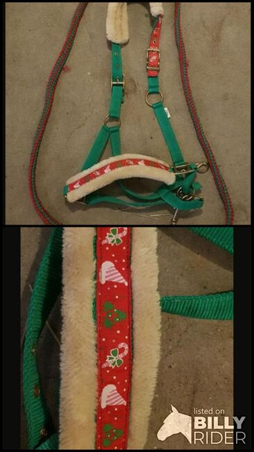 Halfter mit Weihnachten, Sarah , Halters, Norderstedt, Image 3