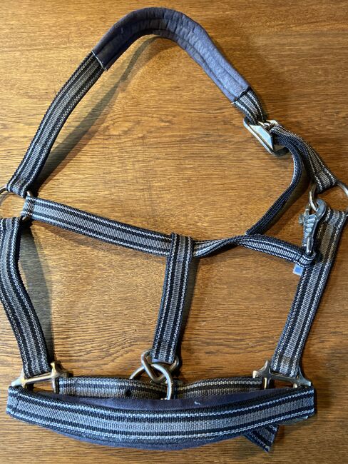 Halfter von Derby, AS, Halters, Oelde