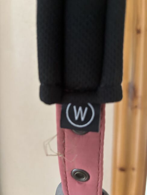 Halfter von Eskadron, Eskadron Classic Sports, Britta Knaack , Halters, Horstedt , Image 3