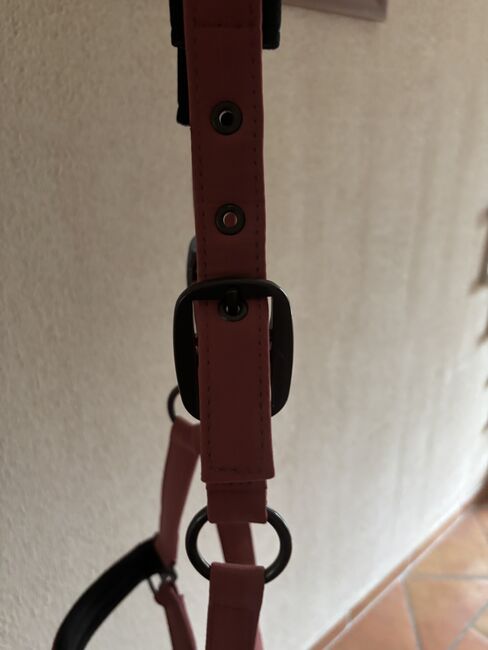 Halfter von Eskadron, Eskadron Classic Sports, Britta Knaack , Halters, Horstedt , Image 5