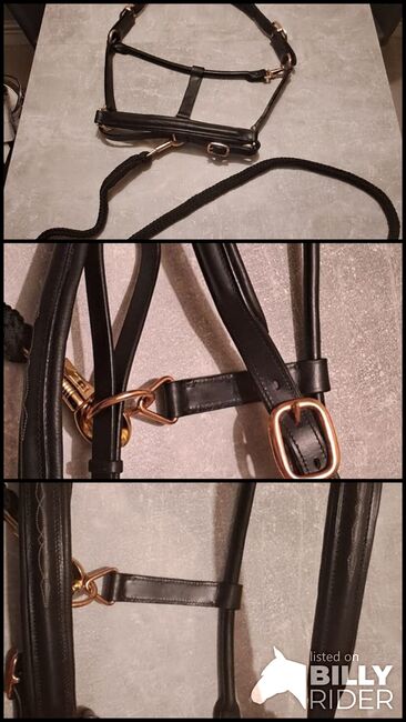 Lederhalfter Rosegold, Jenny Richter, Halters, Clausthal-Zellerfeld, Image 4